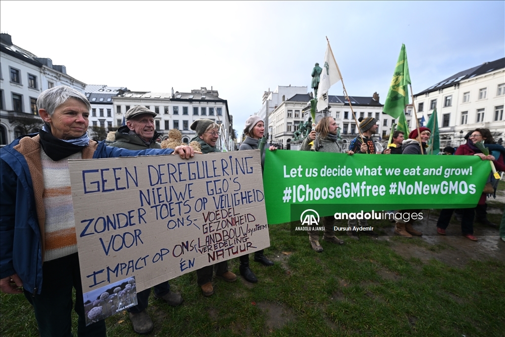 Belçikalı ve Hollandalı çiftçiler,  GDO tasarısını protesto etti