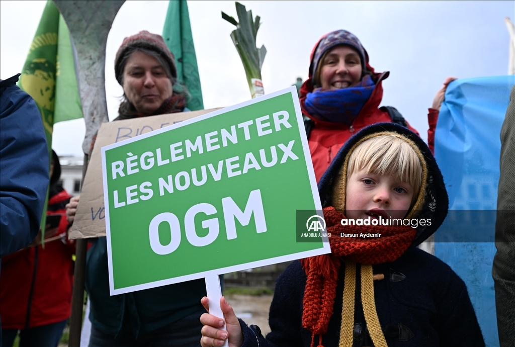 Belçikalı ve Hollandalı çiftçiler,  GDO tasarısını protesto etti