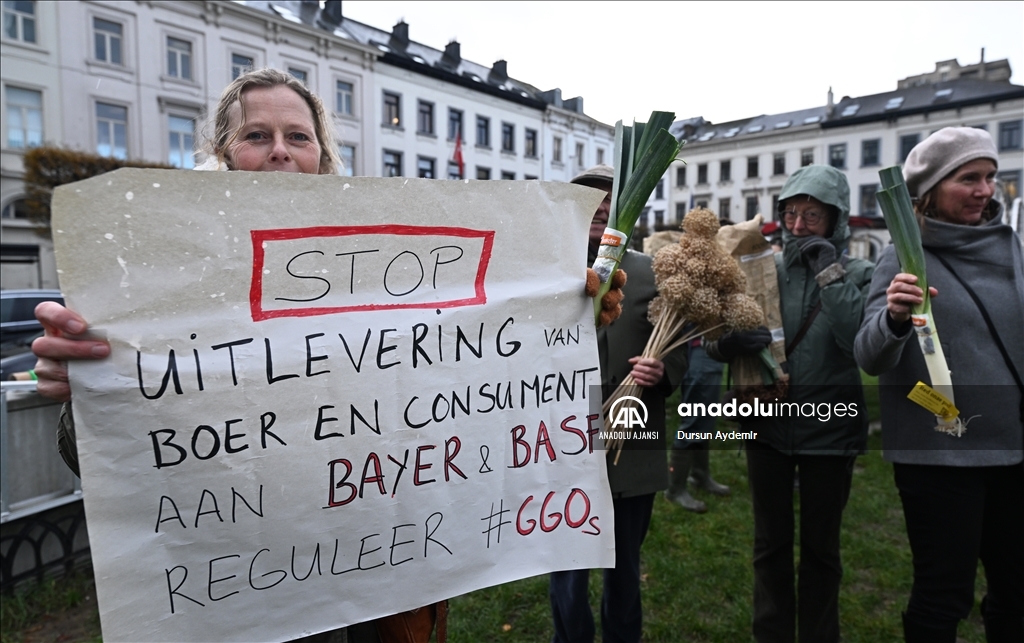Belçikalı ve Hollandalı çiftçiler,  GDO tasarısını protesto etti