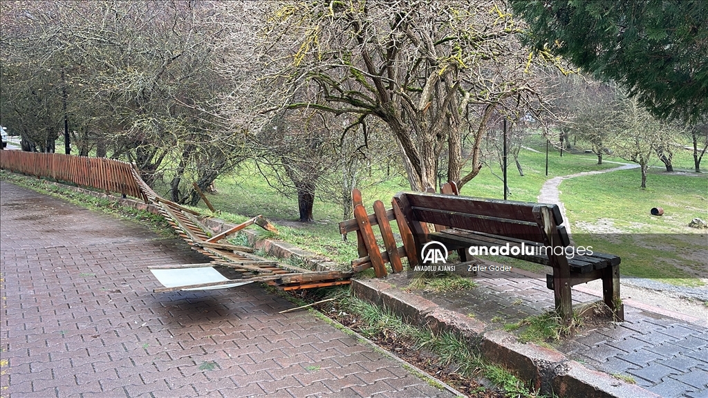 Kuvvetli rüzgar Gölcük Tabiat Parkı'nda ağaçları devirdi