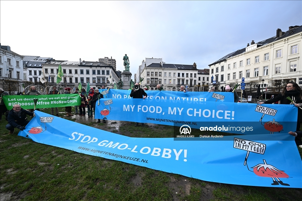 Belçikalı ve Hollandalı çiftçiler,  GDO tasarısını protesto etti