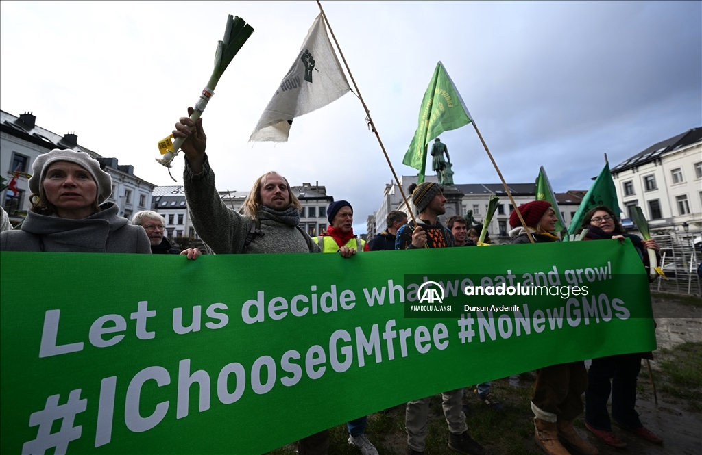 Belçikalı ve Hollandalı çiftçiler,  GDO tasarısını protesto etti