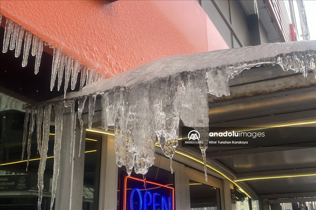 Erzurum'da soğuk hava etkili oluyor