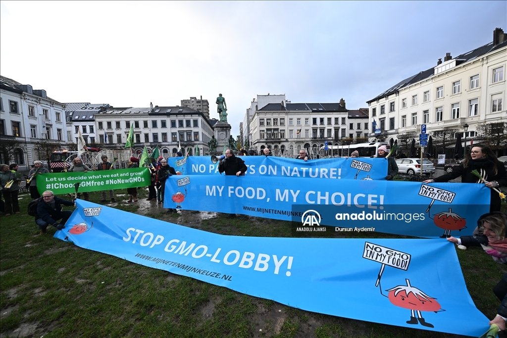 Belçikalı ve Hollandalı çiftçiler,  GDO tasarısını protesto etti