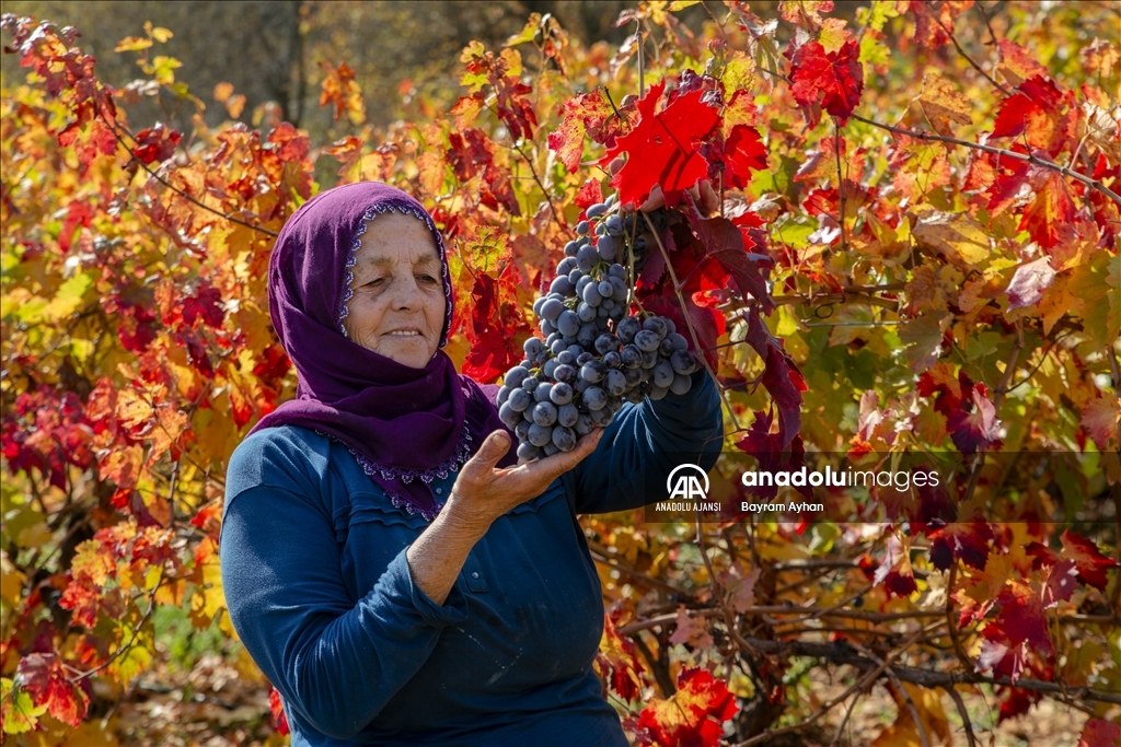 Malatya'da sonbahar renkleri