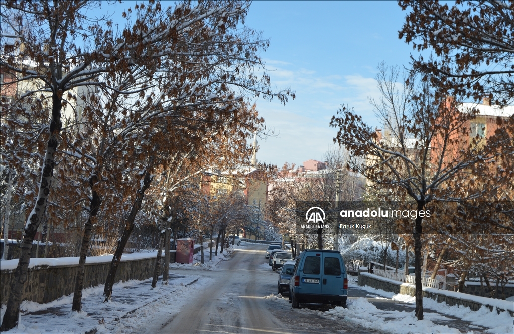 Erzurum'da soğuk hava etkisini sürdürüyor