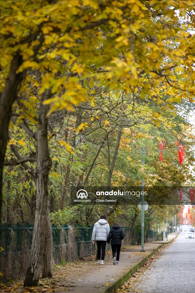 Edirne hazan renklerine büründü