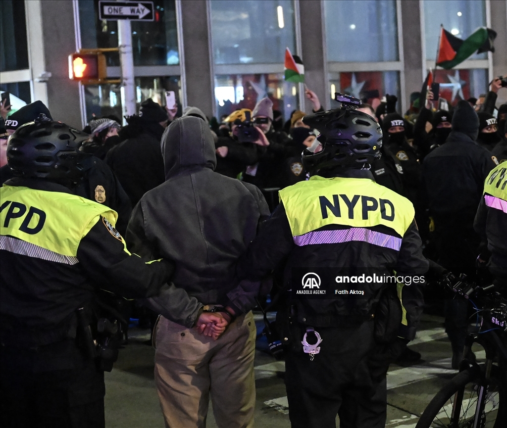 Полиция США вмешалась в демонстрацию в поддержку Палестины, проходившей перед рождественской елкой