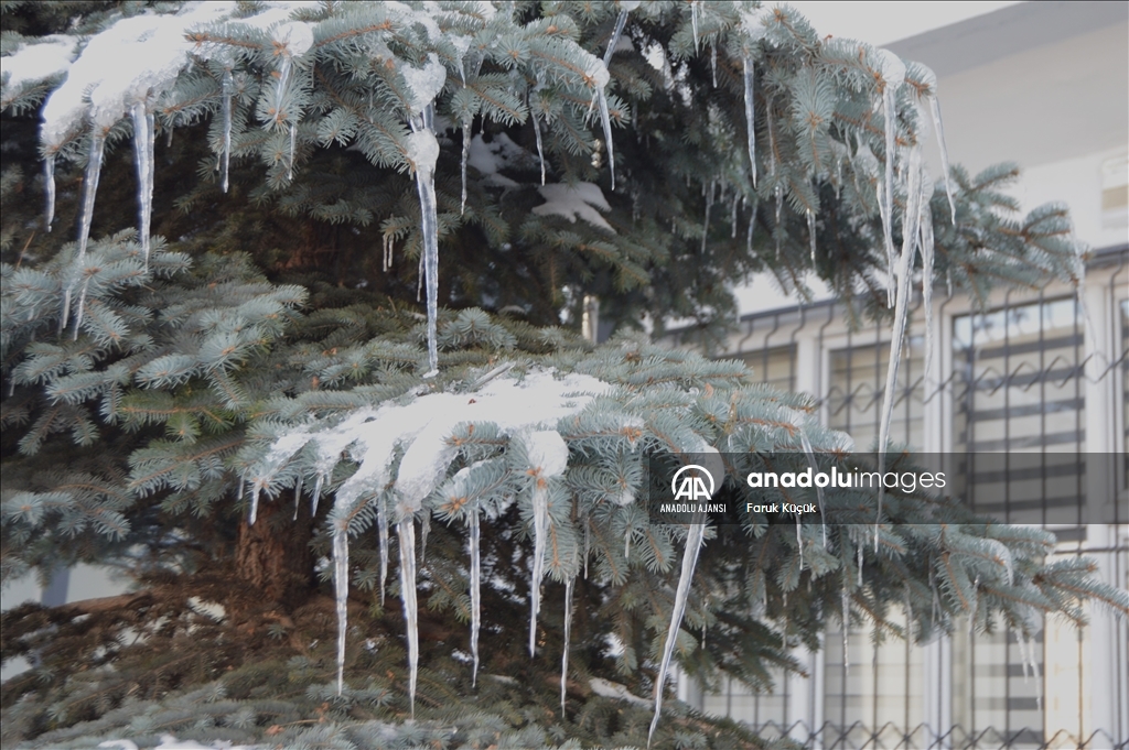 Erzurum'da soğuk hava etkisini sürdürüyor