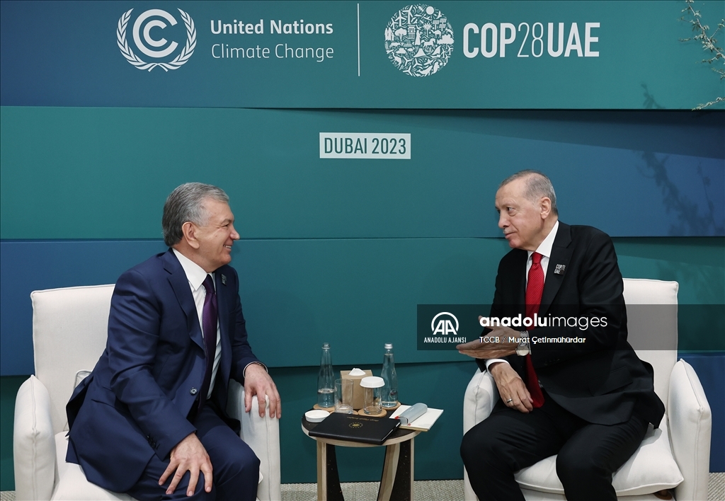 Cumhurbaşkanı Erdoğan, Özbekistan Cumhurbaşkanı Mirziyoyev ile bir araya geldi