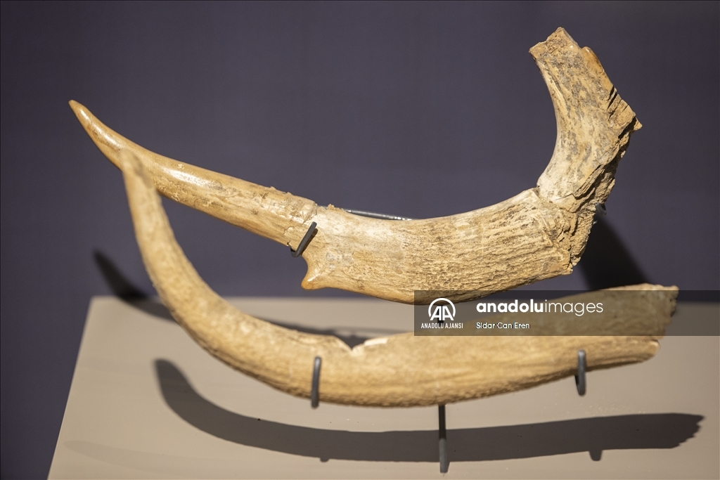 Tunceli Müzesi'ne 3 yılda 298 eser kazandırıldı