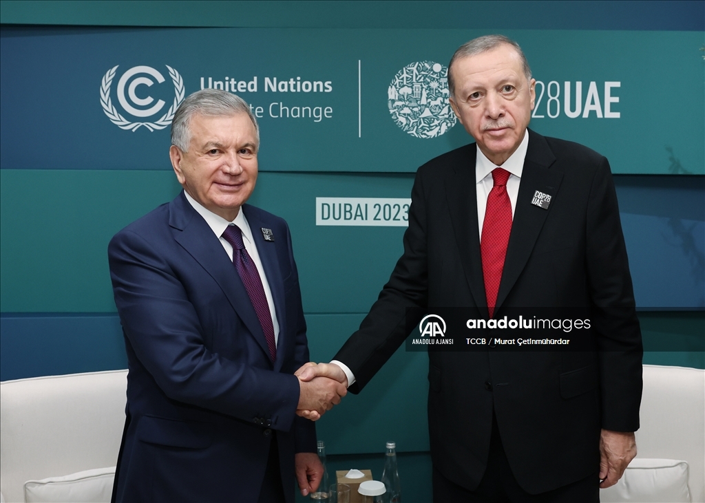 Cumhurbaşkanı Erdoğan, Özbekistan Cumhurbaşkanı Mirziyoyev ile bir araya geldi