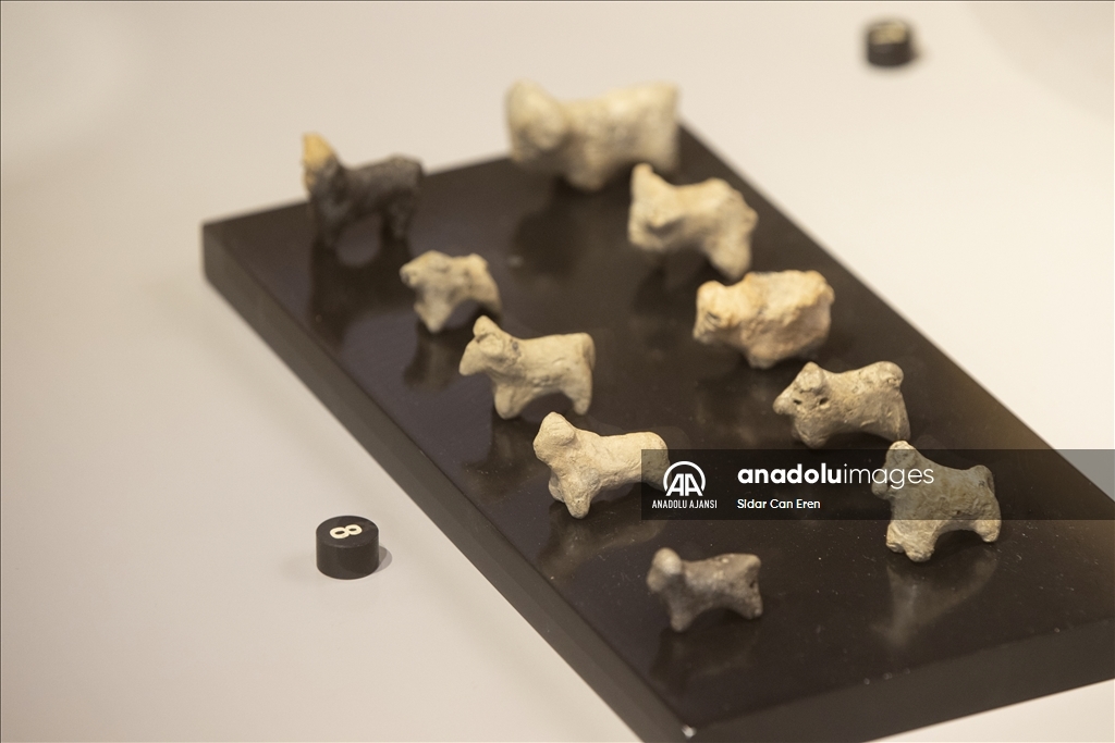 Tunceli Müzesi'ne 3 yılda 298 eser kazandırıldı