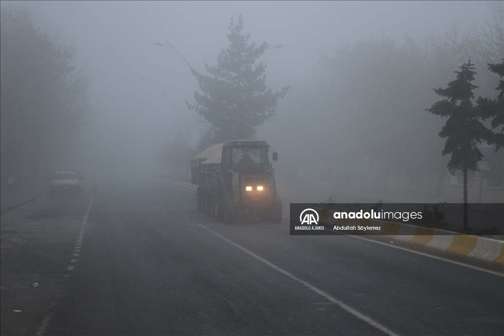 Ağrı'da sis ve soğuk hava etkili oluyor