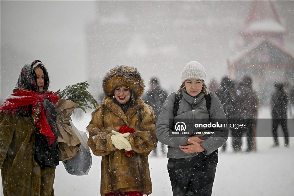 Snowfall in Moscow