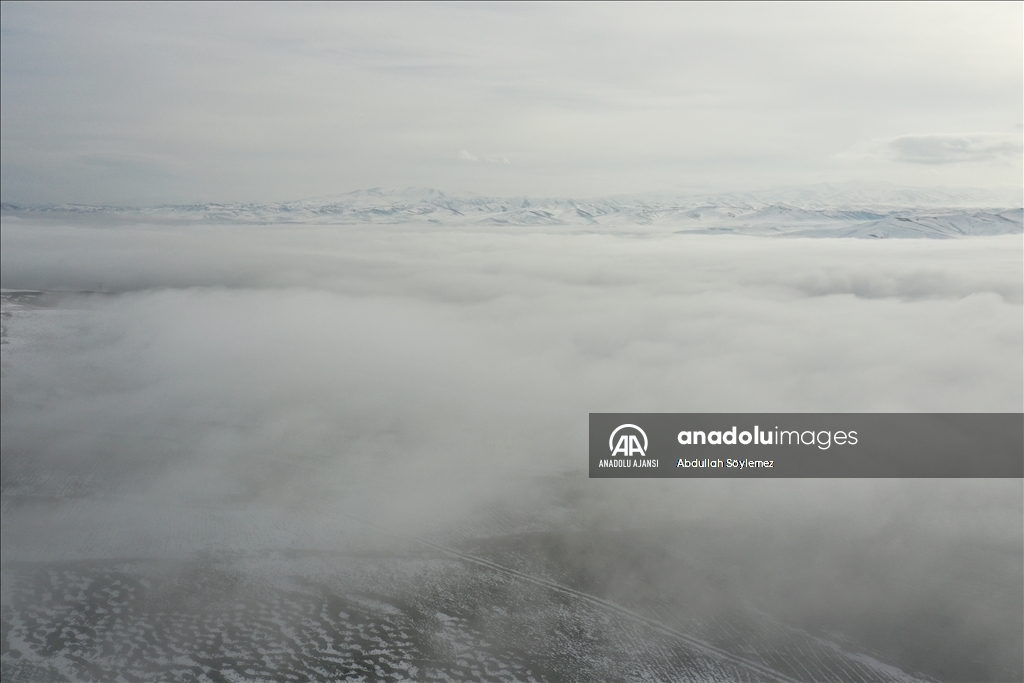 Ağrı'da sis etkili oldu