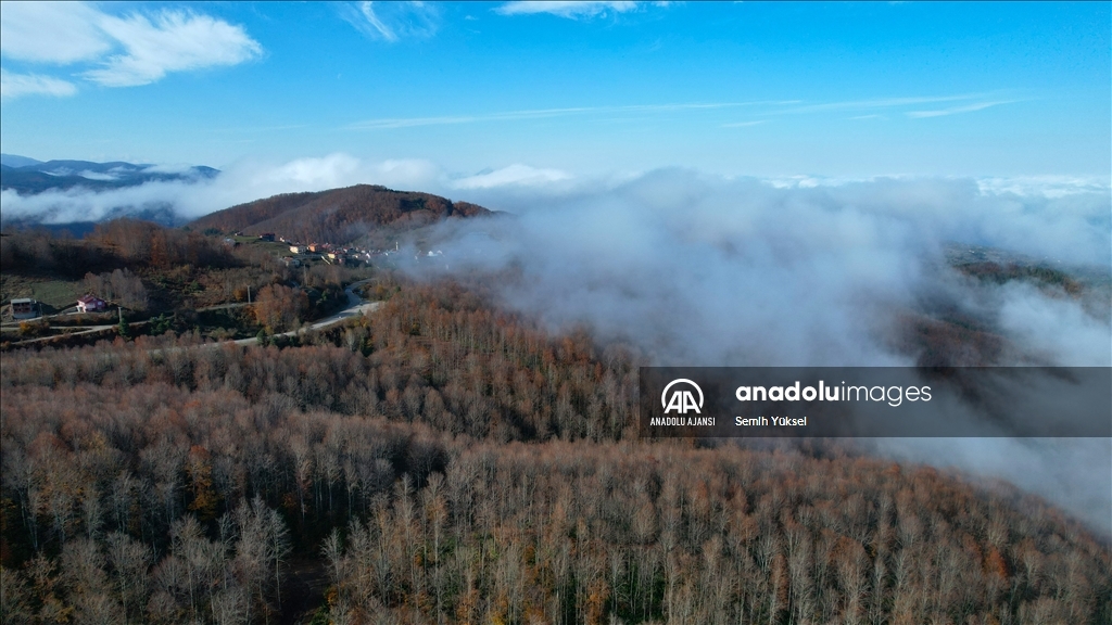Kastamonu'da vadilere çöken sis ve ormanlık alanlar dron ile görüntülendi