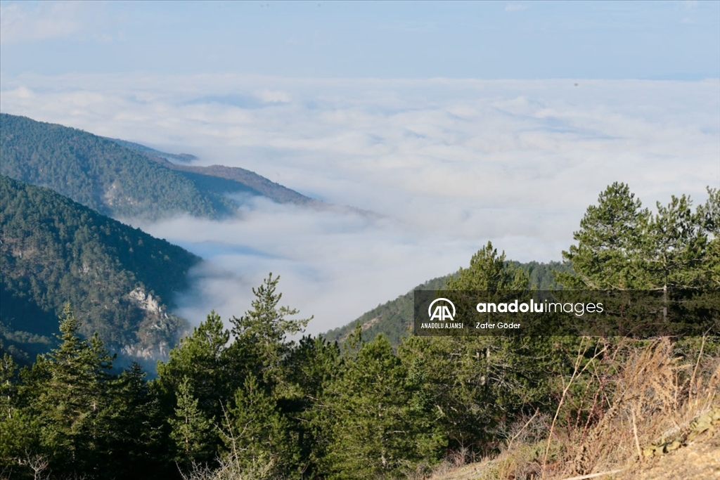 Bolu Dağı'nda sis etkili oldu