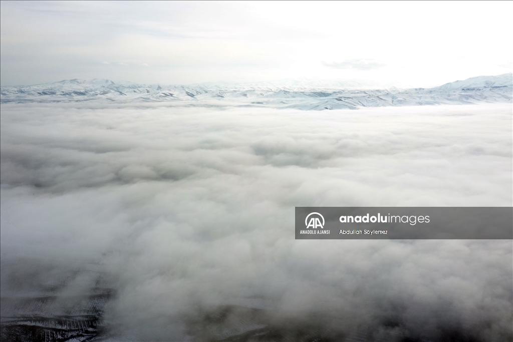 Ağrı'da sis etkili oldu