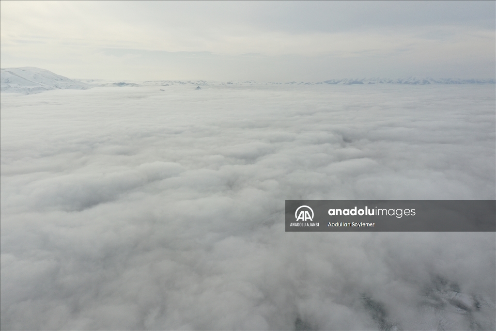 Ağrı'da sis etkili oldu