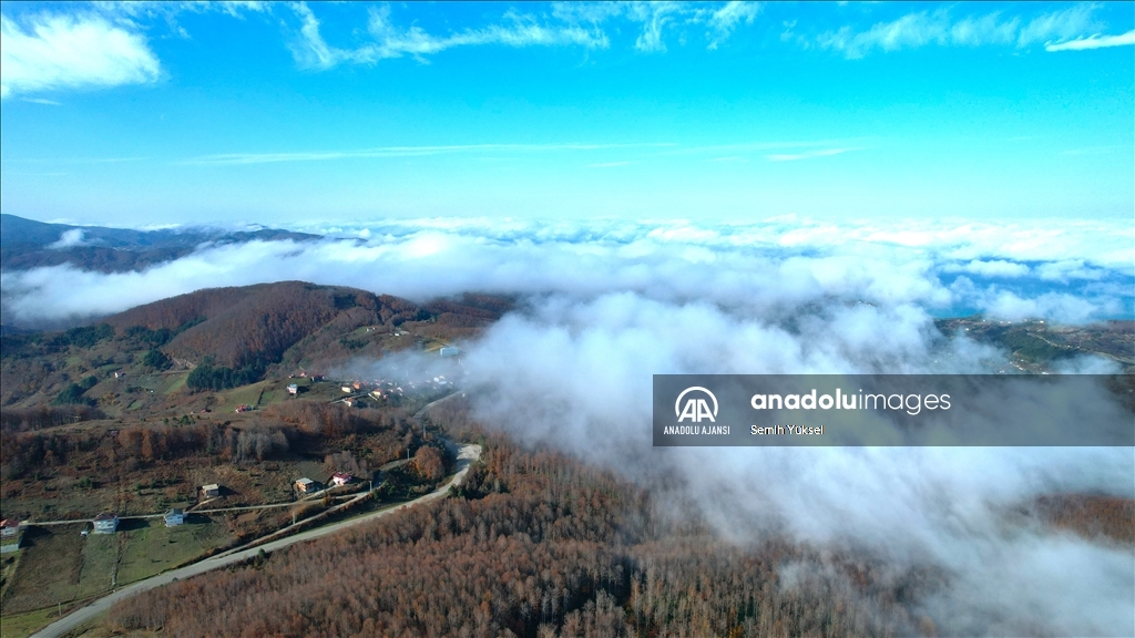 Kastamonu'da vadilere çöken sis ve ormanlık alanlar dron ile görüntülendi