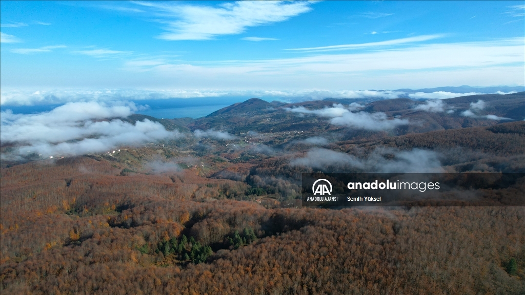 Kastamonu'da vadilere çöken sis ve ormanlık alanlar dron ile görüntülendi