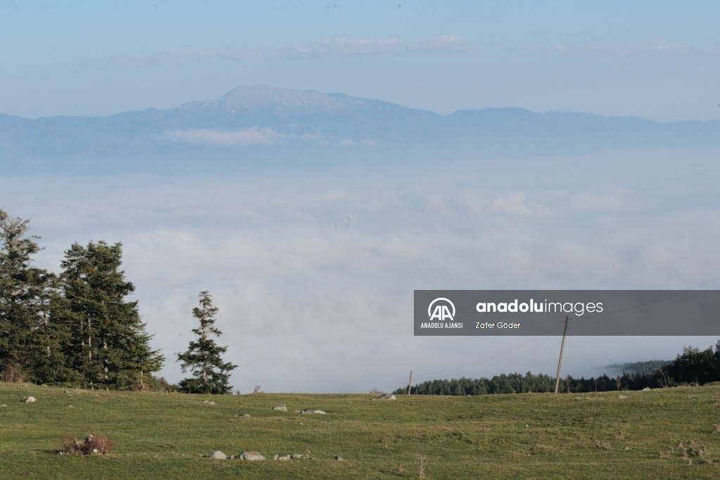 Bolu Dağı'nda sis etkili oldu