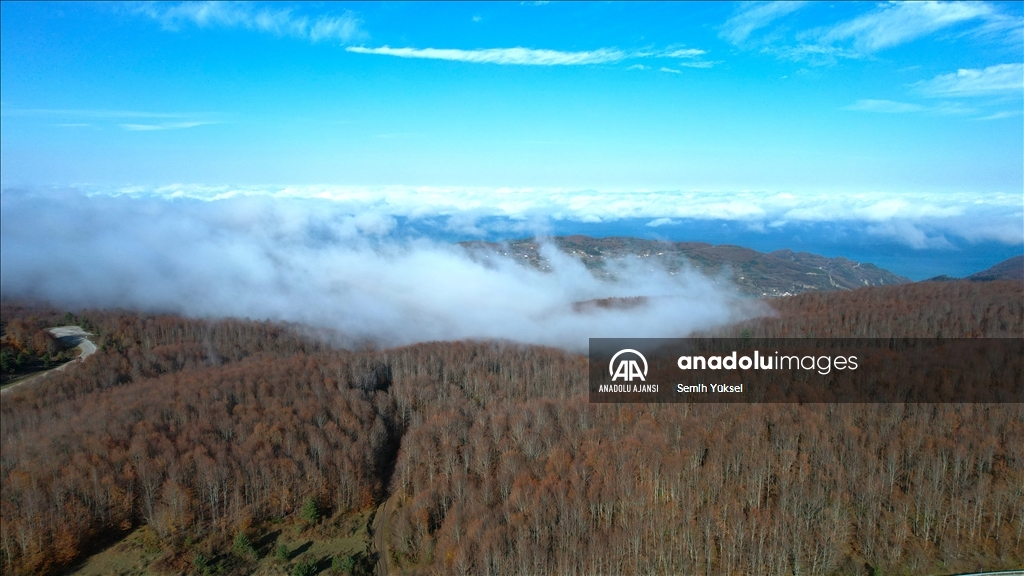 Kastamonu'da vadilere çöken sis ve ormanlık alanlar dron ile görüntülendi