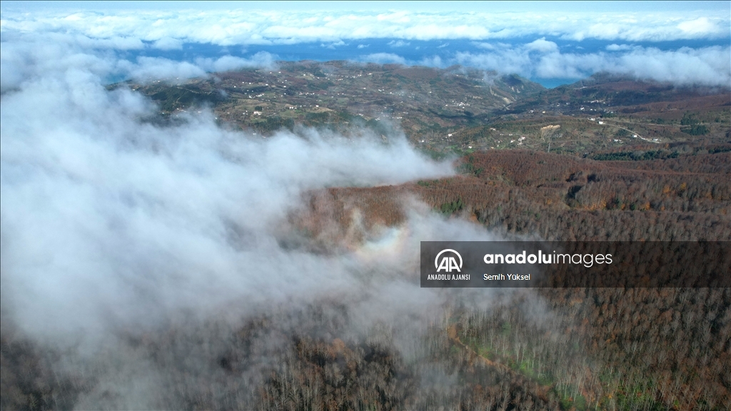 Kastamonu'da vadilere çöken sis ve ormanlık alanlar dron ile görüntülendi