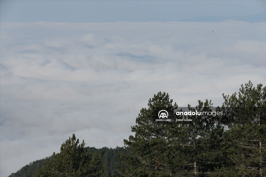 Bolu Dağı'nda sis etkili oldu
