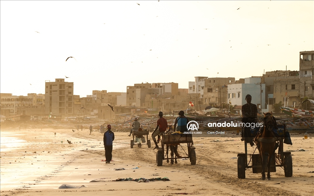 Senegal’de ulaşımın bir parçası olan atlar güne yıkanarak başlıyor