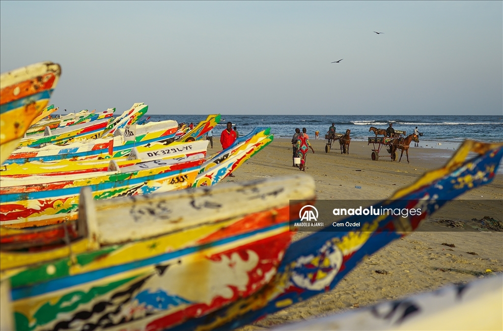 Senegal’de ulaşımın bir parçası olan atlar güne yıkanarak başlıyor