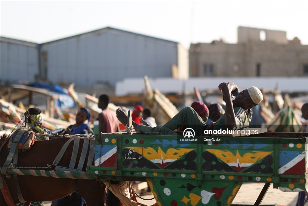 Senegal’de ulaşımın bir parçası olan atlar güne yıkanarak başlıyor