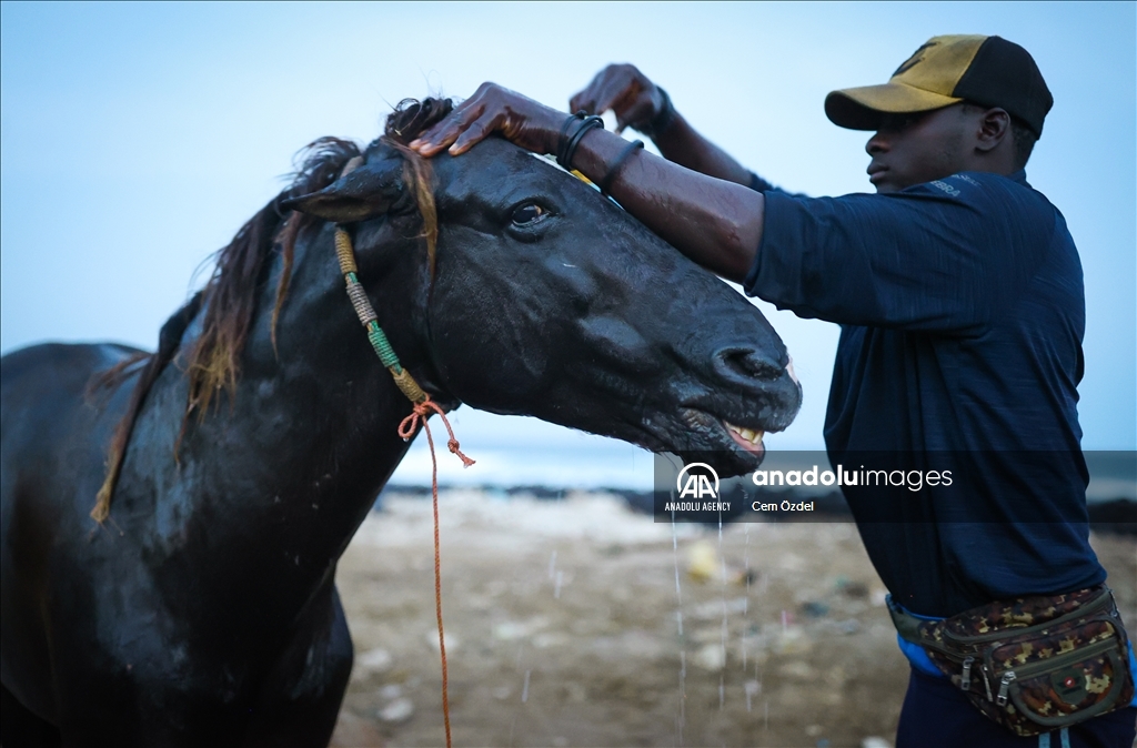 Despite rapid urbanization, horse-drawn carts big part of transportation in Senegal