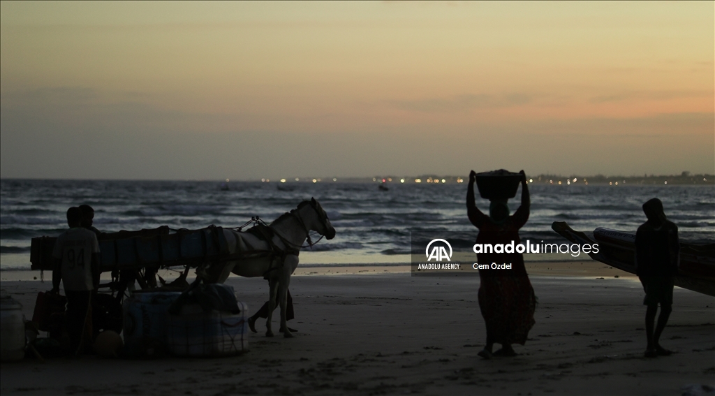 Despite rapid urbanization, horse-drawn carts big part of transportation in Senegal