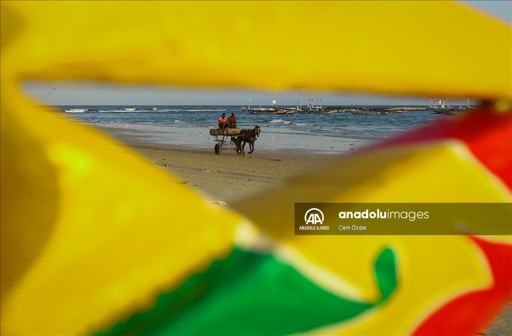 Senegal’de ulaşımın bir parçası olan atlar güne yıkanarak başlıyor