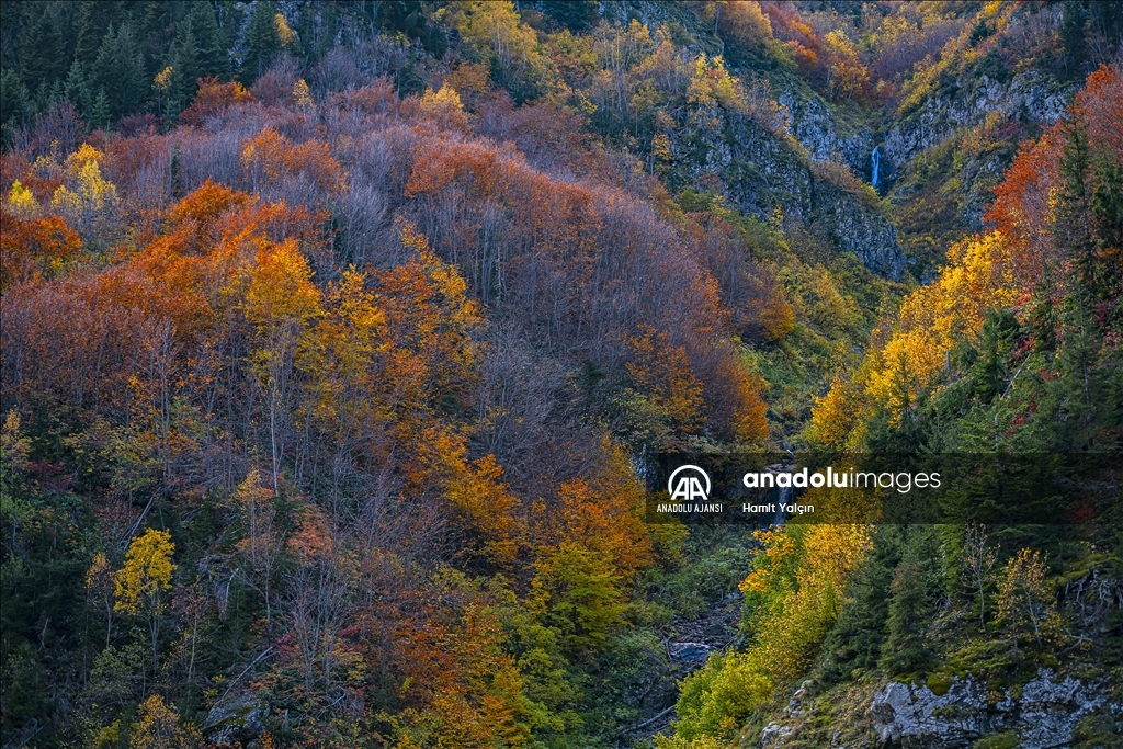Doğu Karadeniz’in doğal sit alanı Papart Vadisi