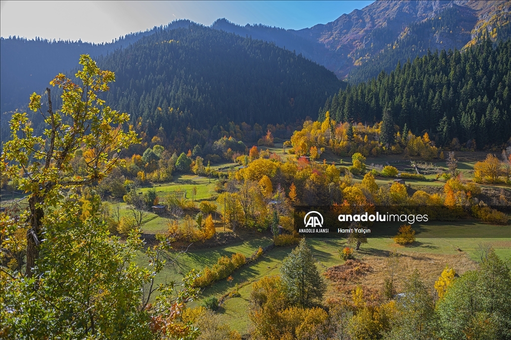Doğu Karadeniz’in doğal sit alanı Papart Vadisi