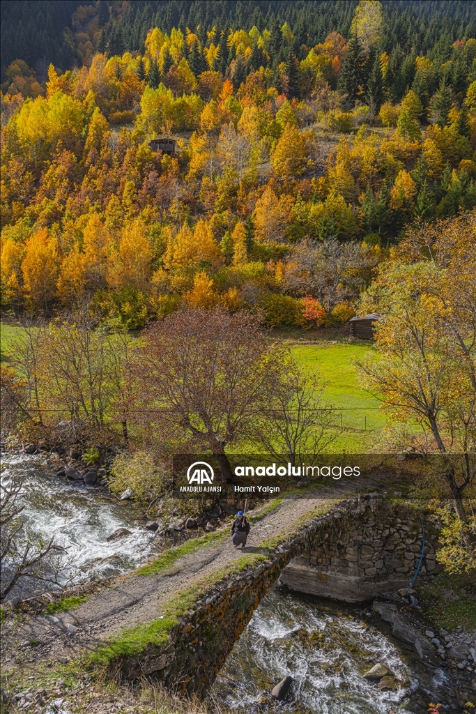 Doğu Karadeniz’in doğal sit alanı Papart Vadisi