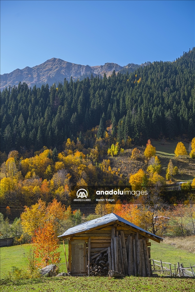 Doğu Karadeniz’in doğal sit alanı Papart Vadisi