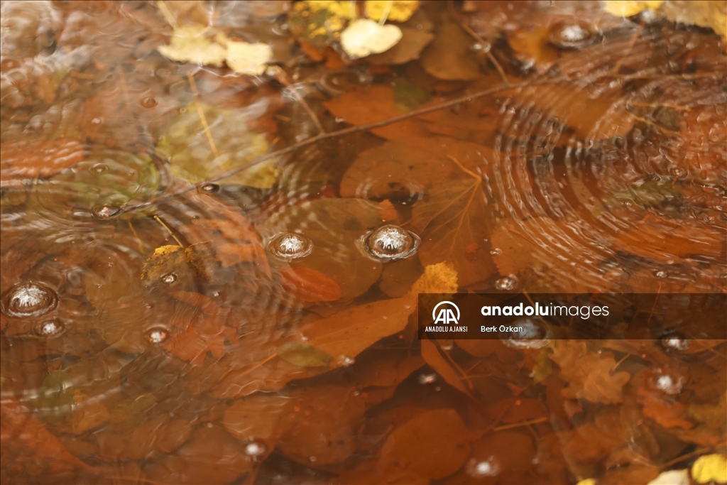 İstanbul'da sonbahar