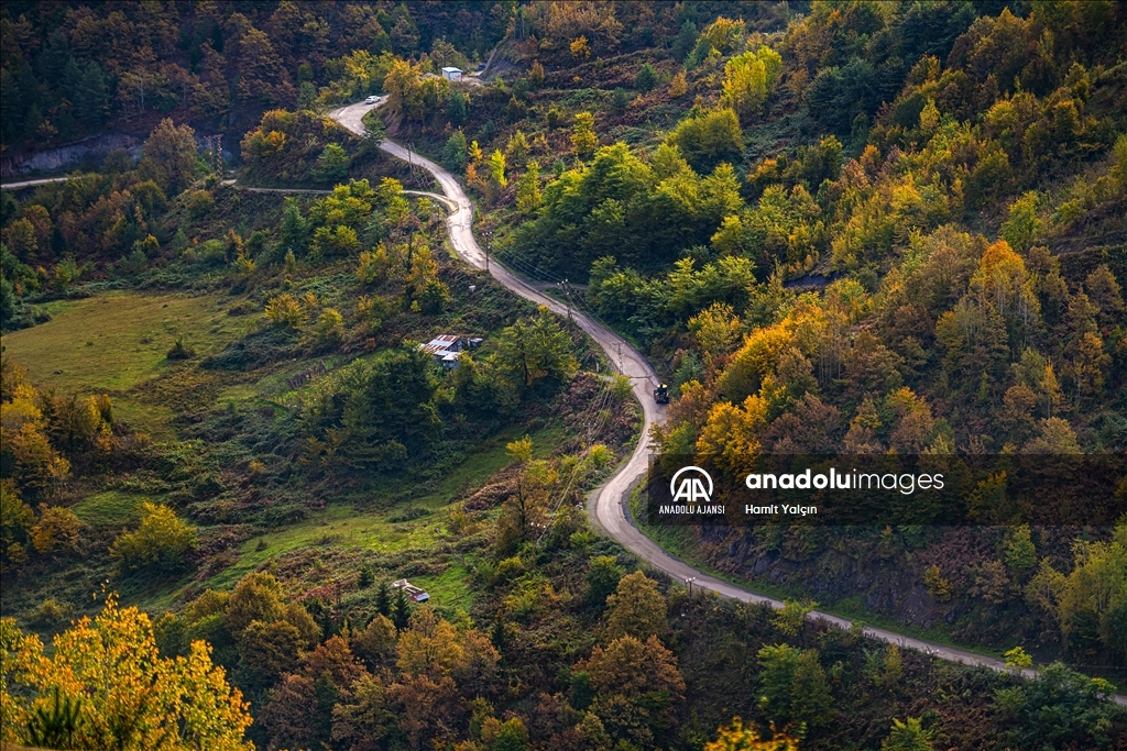 Doğu Karadeniz’in doğal sit alanı Papart Vadisi