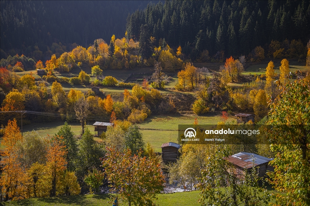 Doğu Karadeniz’in doğal sit alanı Papart Vadisi