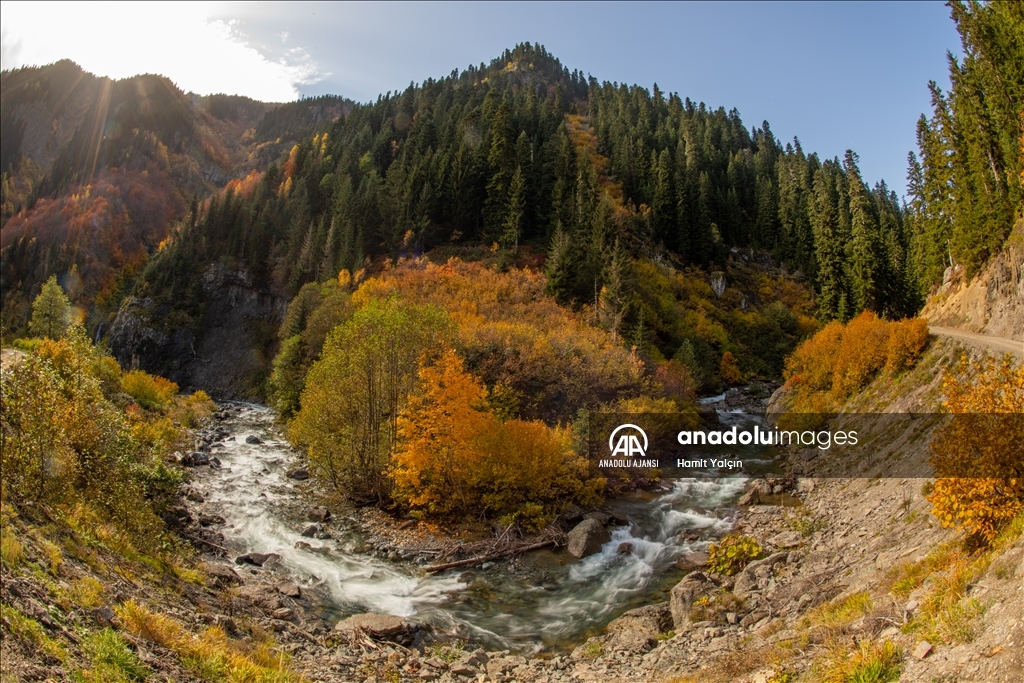 Doğu Karadeniz’in doğal sit alanı Papart Vadisi