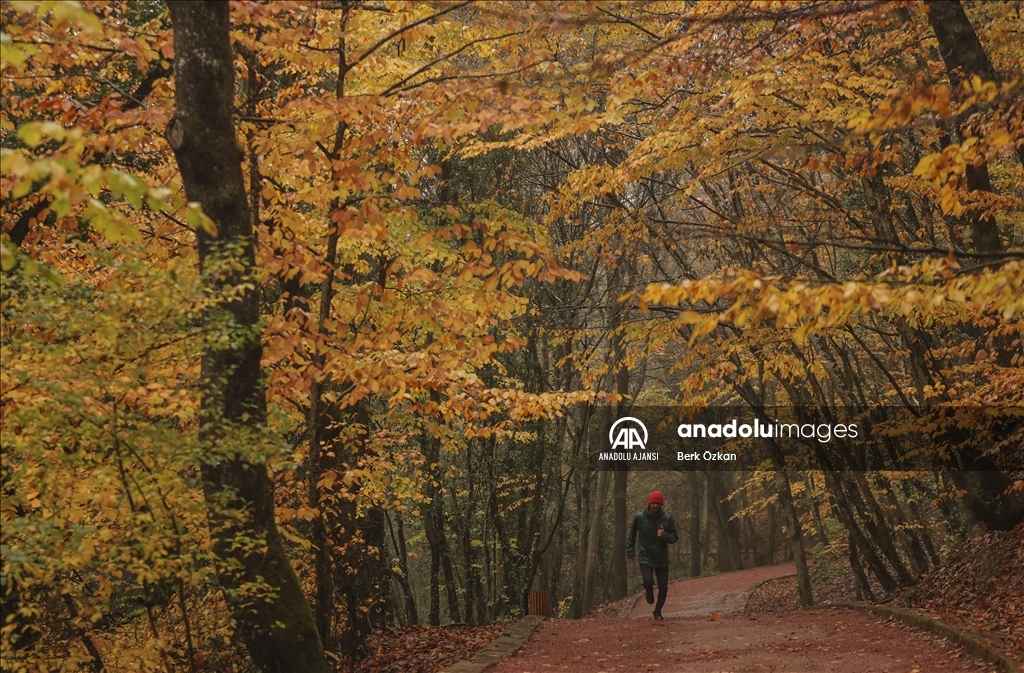 İstanbul'da sonbahar