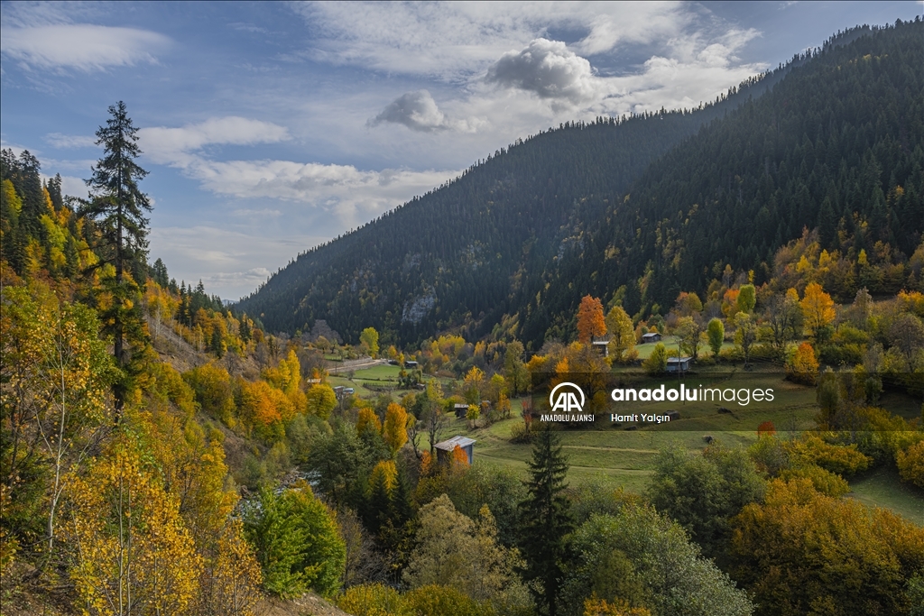 Doğu Karadeniz’in doğal sit alanı Papart Vadisi