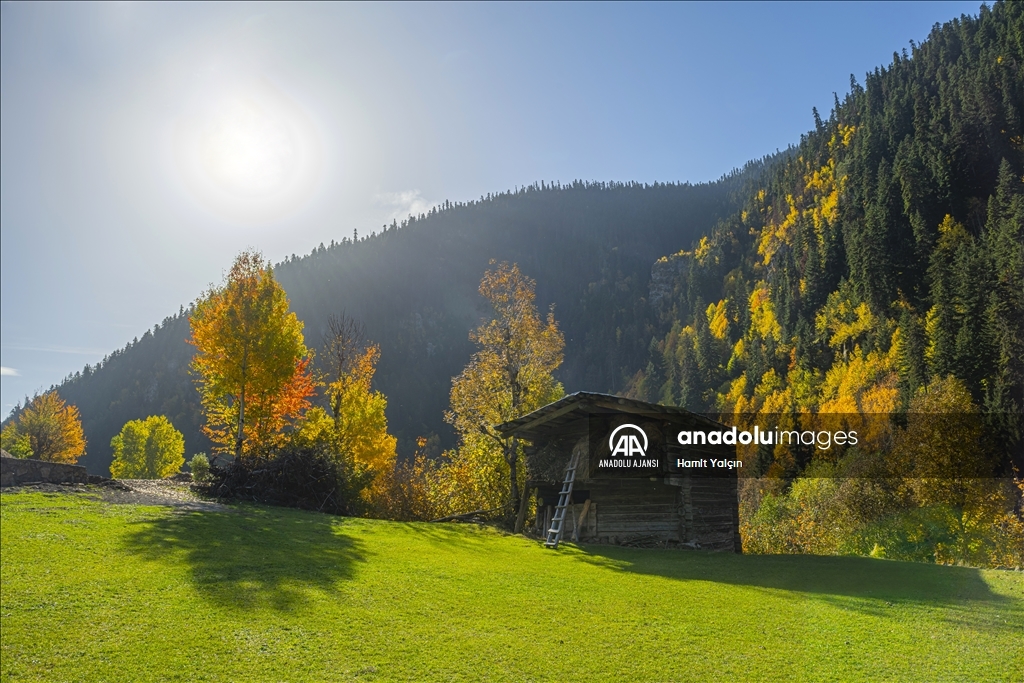 Doğu Karadeniz’in doğal sit alanı Papart Vadisi