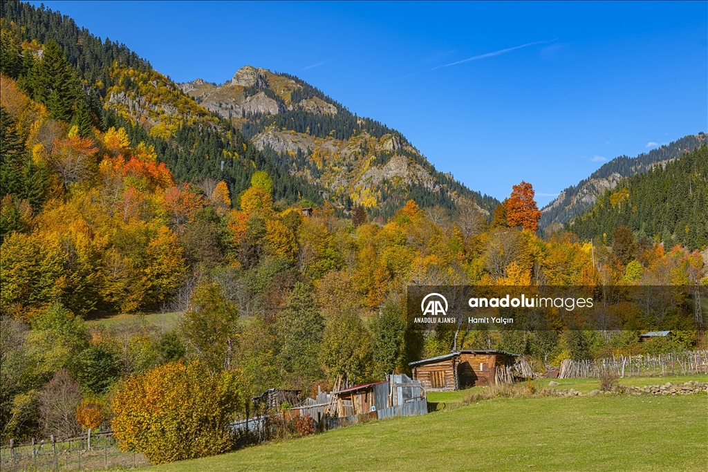 Doğu Karadeniz’in doğal sit alanı Papart Vadisi