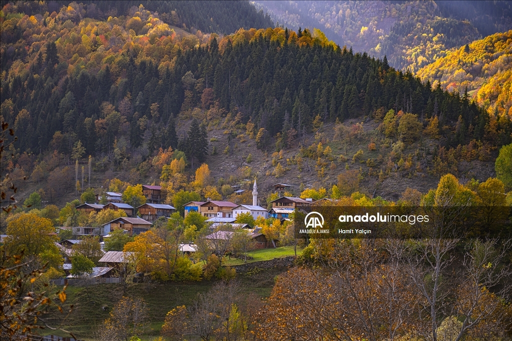 Doğu Karadeniz’in doğal sit alanı Papart Vadisi