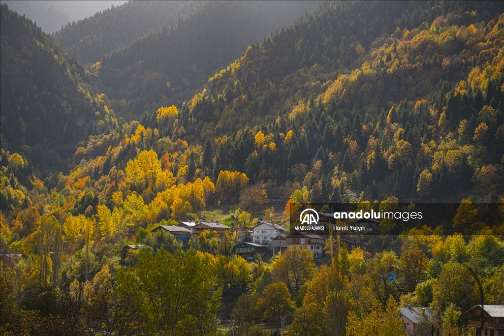 Doğu Karadeniz’in doğal sit alanı Papart Vadisi